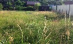 Rekreačný pozemok-záhrada-Žabí majer -813m2-predaj