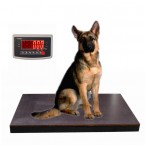 Plošinová váha pre psov do 300 kg