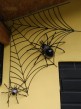 Dekorácia pavučina pavúk