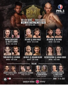 Predám 3 vstupenky na PML3 do Brna