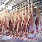 Mäsiari na bitúnok