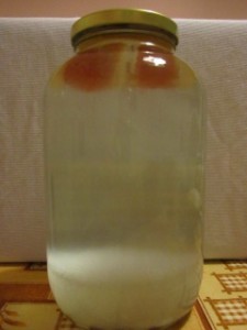 Tibi kryštáliky(vodný kefír)