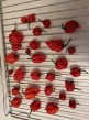 Predám chilli papričky Carolina reaper