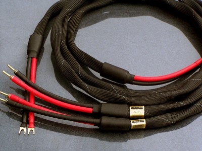 C4Y Squirmy - HIGH END reprokabely