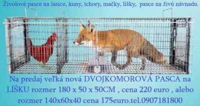 maxi pasca na líšky