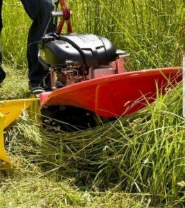 Kosenie trávy