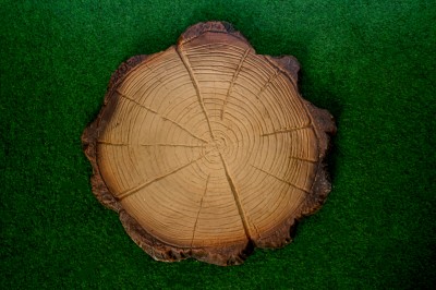 Šľapák v imitácii dreva