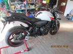 honda hornet