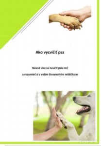 Ekniha Ako vycvičiť psa