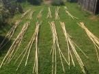 Bambusové palice