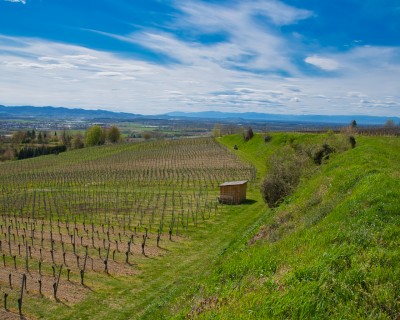 Praca pre opatrovatelov a opatrovatelky