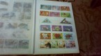 2 x staré albumy v obale + 300 ks známok na predaj