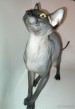 Donsky Sphynx