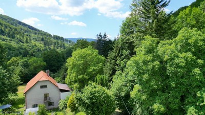 Dom s potokom a jazierkom