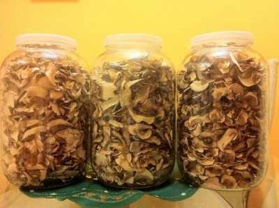 Predám sušene dubáky