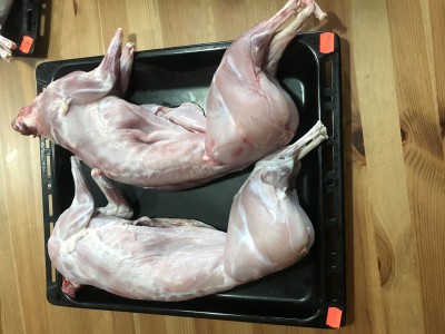Predám králičie mäso