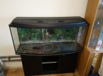Akvárium 240 l