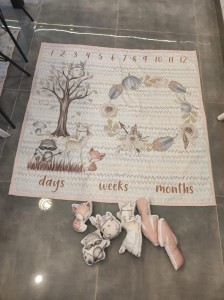 Podložka míľniková