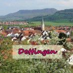 Záskok v overenej rodine