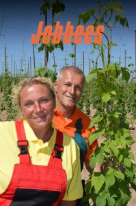 700€/ 2 Týždne Obľúbené jarné práce na  chmeľnicia