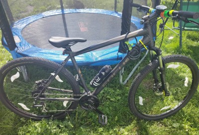 bicykel focus whistler