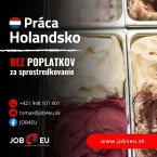 VÝROBA ZMRZLINY A ZÁKUSKOV v Holandsku