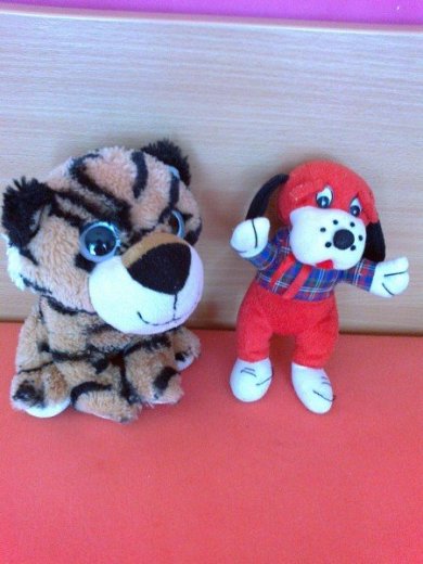 Tiger a psik