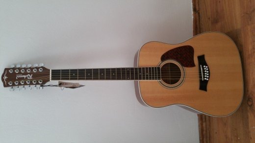 12 strunova akusticka gitara