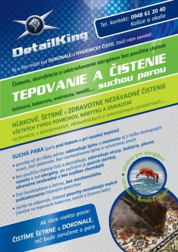 Tepovanie a čistenie suchou parou