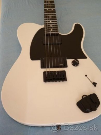 Fender Jim Root Telecaster