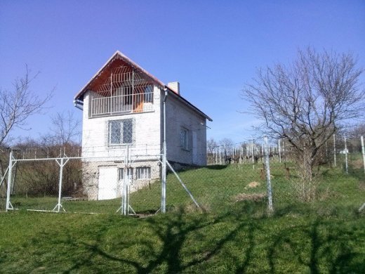 Chata, viničný dom, vinica
