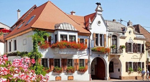 Nemecko-Maikammer-OPATROVANIE BEZ NOČ. VSTÁVANIA