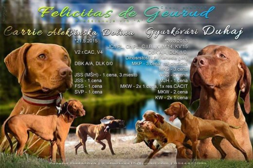 CHS Felicitas de Geurud