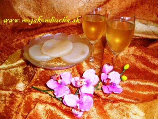 Kombucha PROBIOTEK s.r.o.