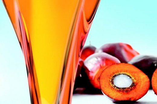 Palmový olej Surový a rafinovaný olej z palmových