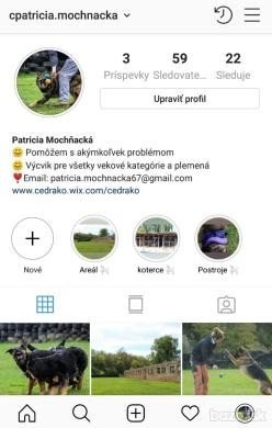 Výcvik pre Vášho psíka