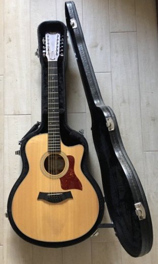 Taylor 356ce 12 str. gitara