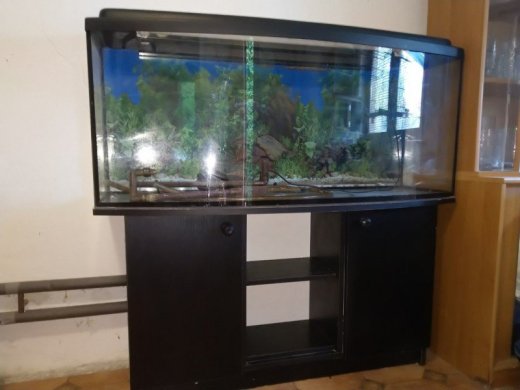 Akvárium 240 l