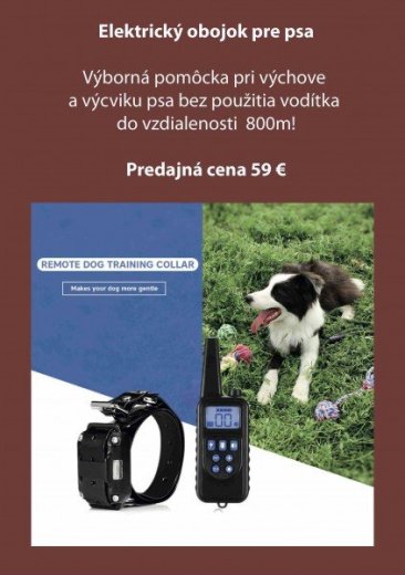 Elektrický obojok pre psa