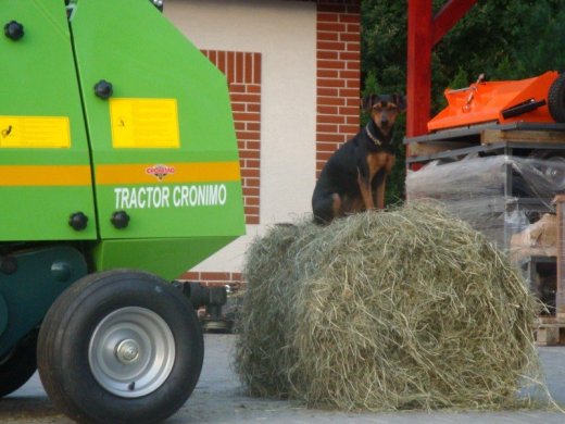 Nový kvalitní balíkovač CRONIMO STAR CRB 7060