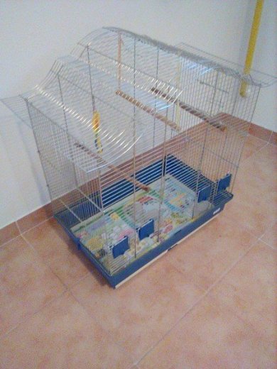 predám klietku pre papagája