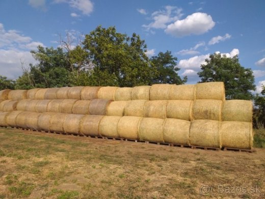 Lucerka,lucerna