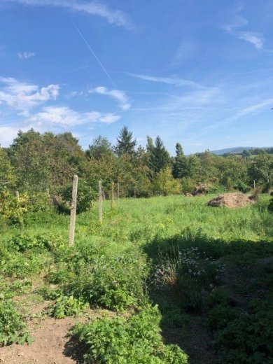 Na predaj RD v Čaradiciach.