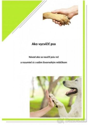 Ako vycvičiť psa