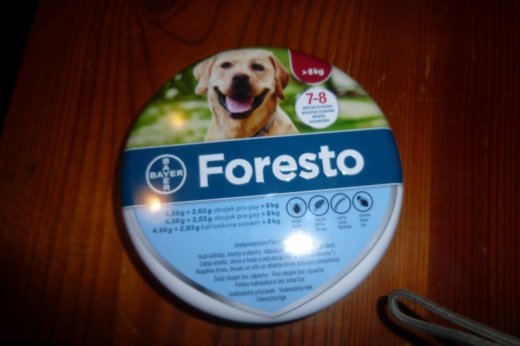 Obojok Foresto