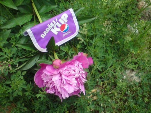 Peňaženka - Radšej kúp PEPSI