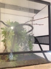 predam terarium pre chameleona 40x35x50