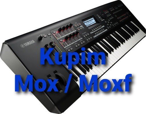 Kupim moxf.motif xf xs