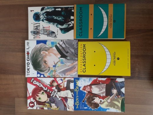 CZ a ANJ manga
