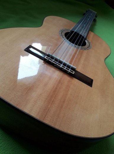 Učiteľ gitary - lekcie hry na gitare